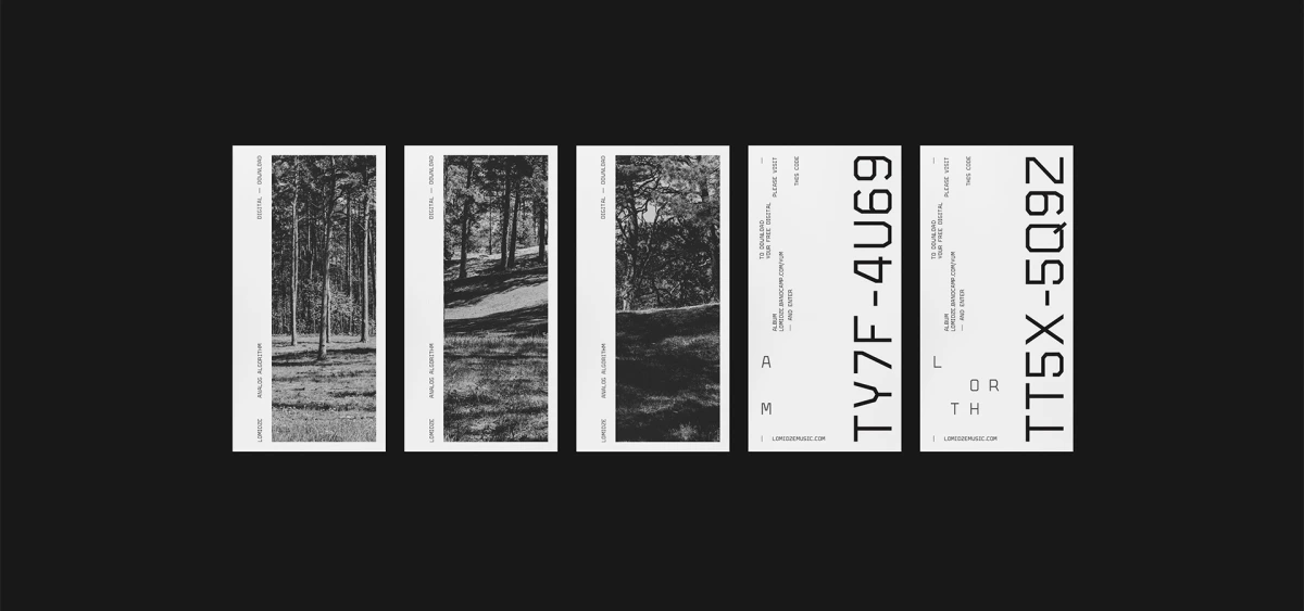 Three forest-photo cards standing beside two download code cards