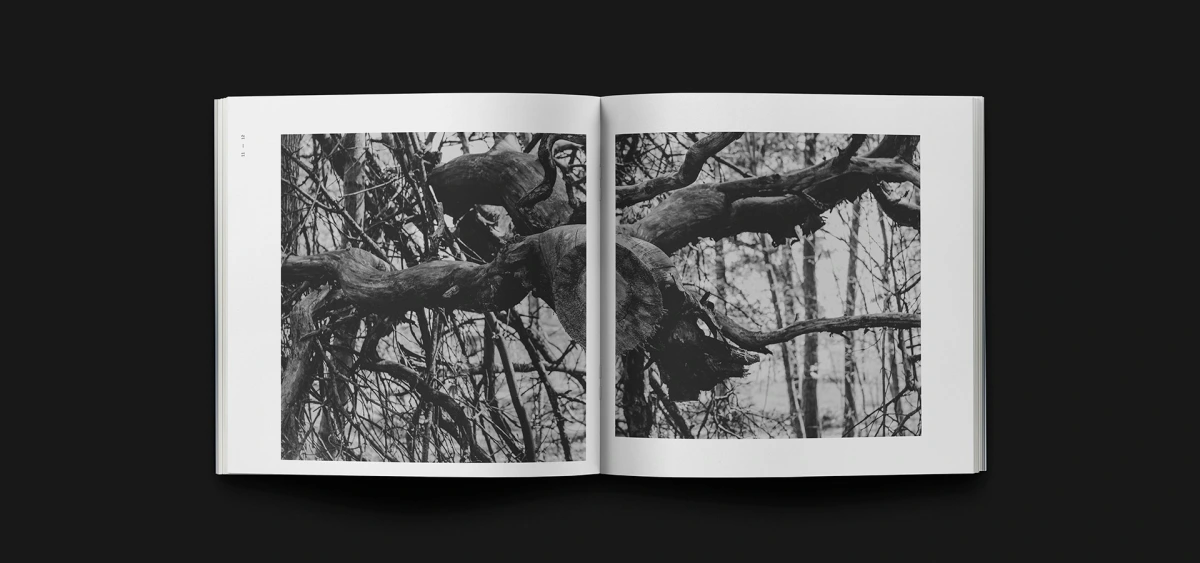Full-bleed macro photo of gnarled tree branch across open book