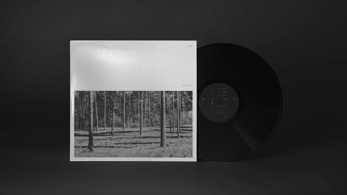 Analog Algorithm vinyl record standing beside its white forest-photo cover