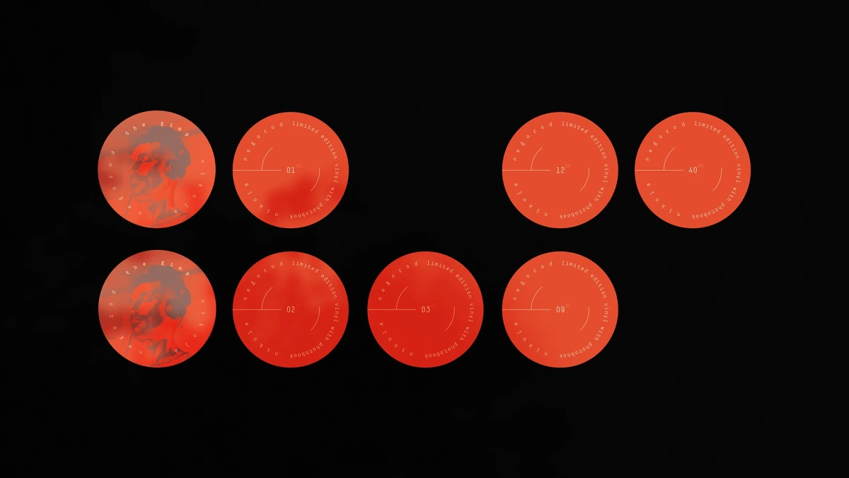 The Gimp vinyl labels, eight orange circles with track numbers