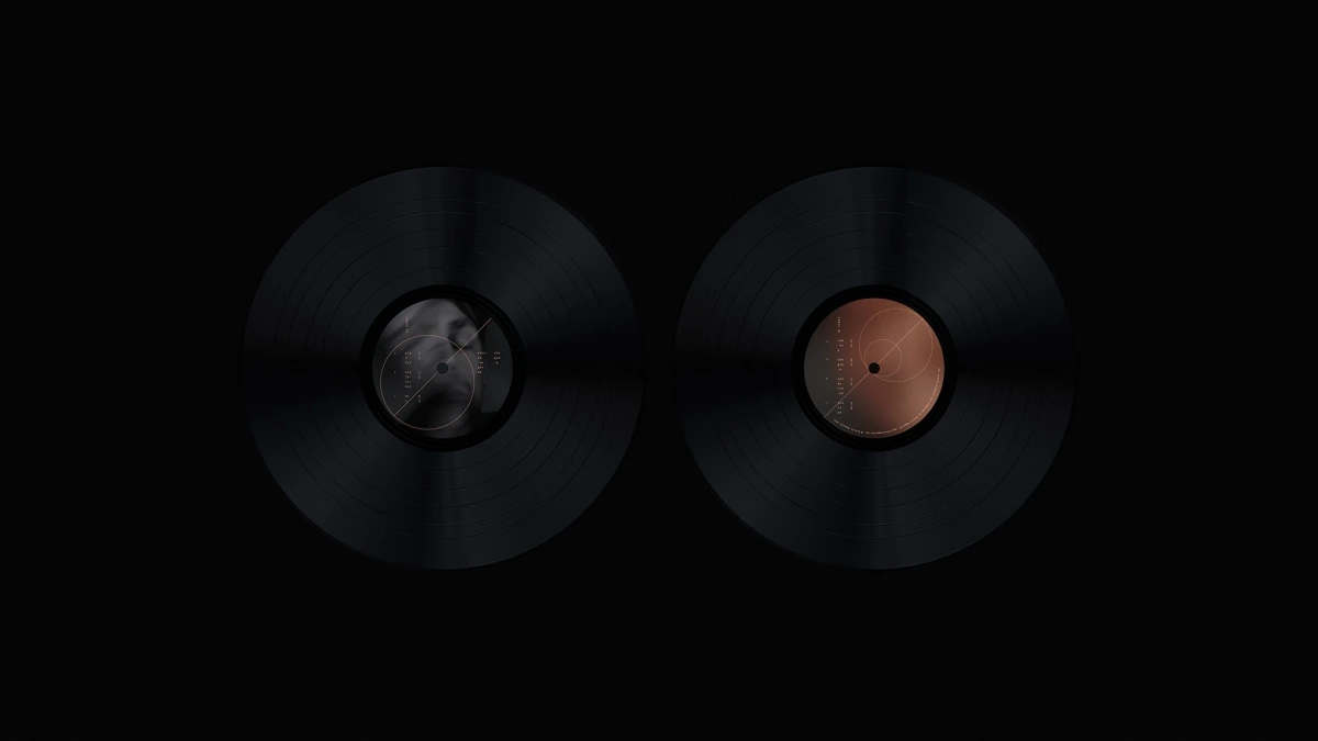 Two black vinyl records with The Gimp label artwork, close up